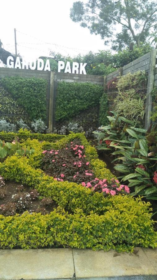 Garuda Park Resort Kotagiri Rum bild